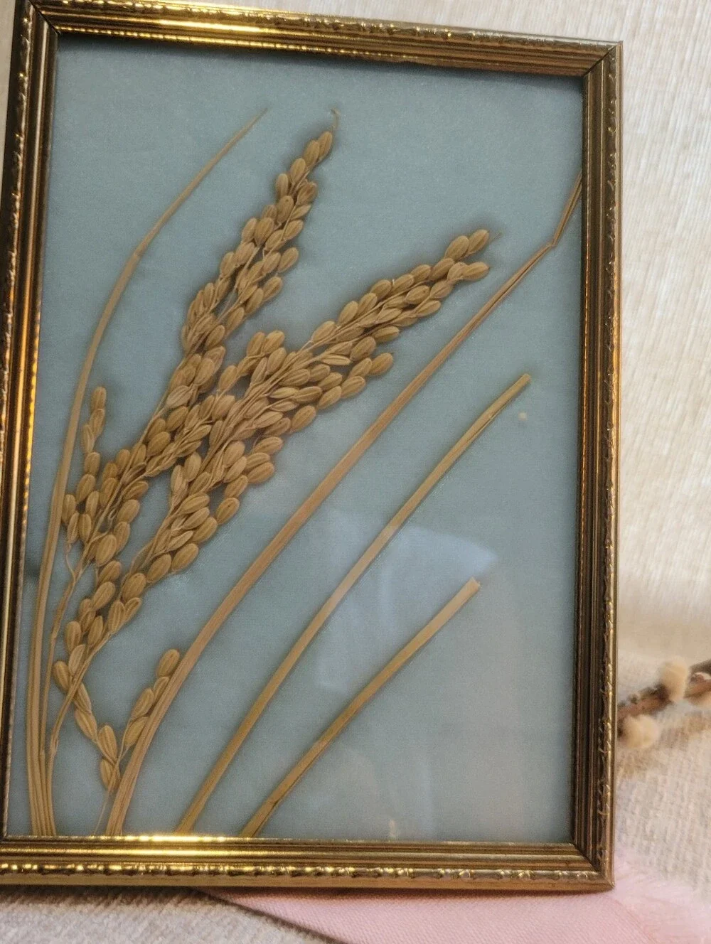 Vintage 3D Framed Pressed Rice Stalk Botanical Art - Gold Ornate Frame - MCM